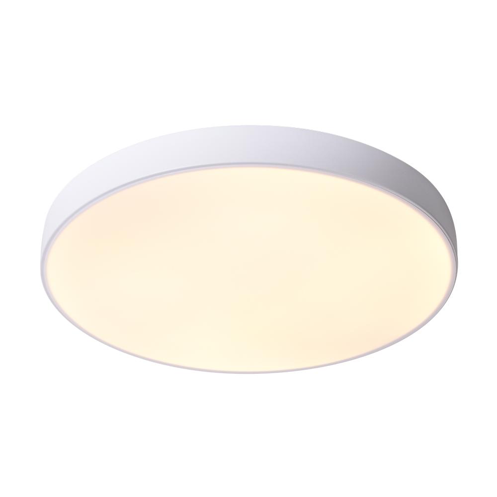 Minimalist LED Drum Flush Mount Ceiling Light