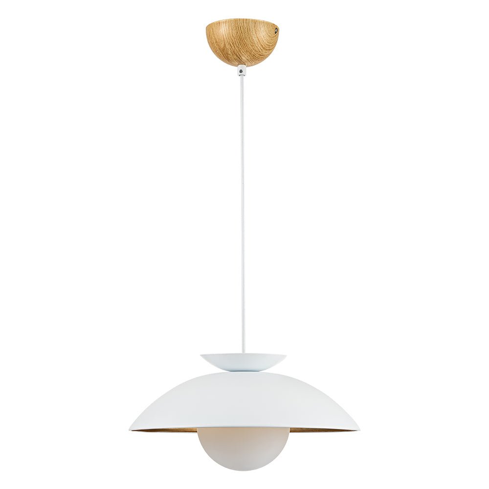 1-Light Scandinavian Iron Kitchen Dome Pendant Light - Black. White
