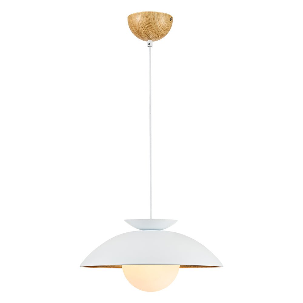 1-Light Scandinavian Iron Kitchen Dome Pendant Light - Black. White