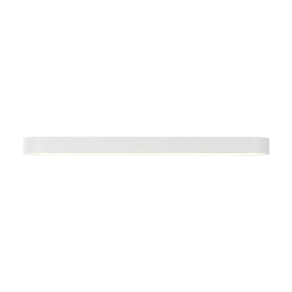 Minimalist Long Oval Dimmable LED Flush Mount Ceiling Light