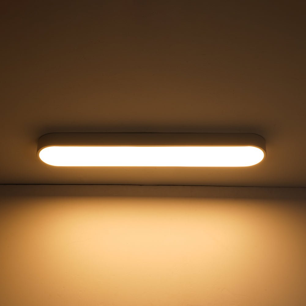 Minimalist Long Oval Dimmable LED Flush Mount Ceiling Light