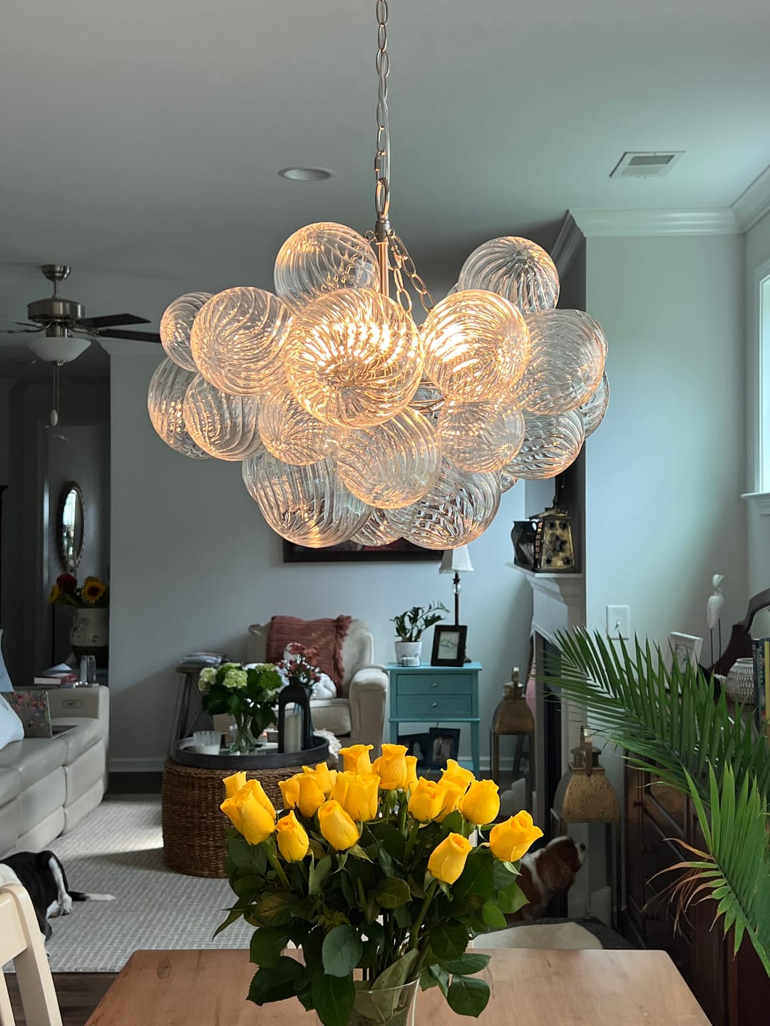(OpenBox) Brass Cluster Ribbed Glass Globe Bubble Chandelier