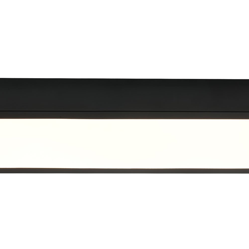 Black Minimalist Oval Dimmable LED Flush Mount Light