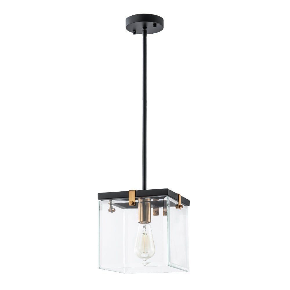 Modern 1-Light Clear Glass Square Cage Pendant Light